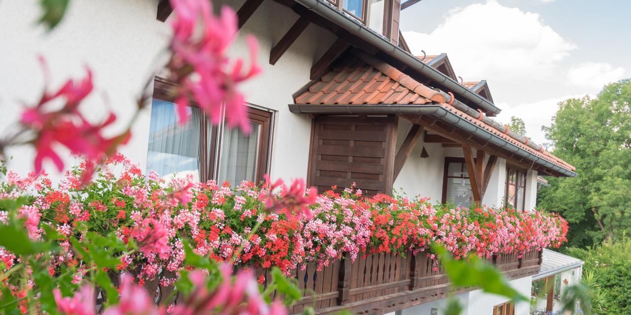 Pension Zum Ebenstein Am Donausteig 운터그리스바크 외부 사진